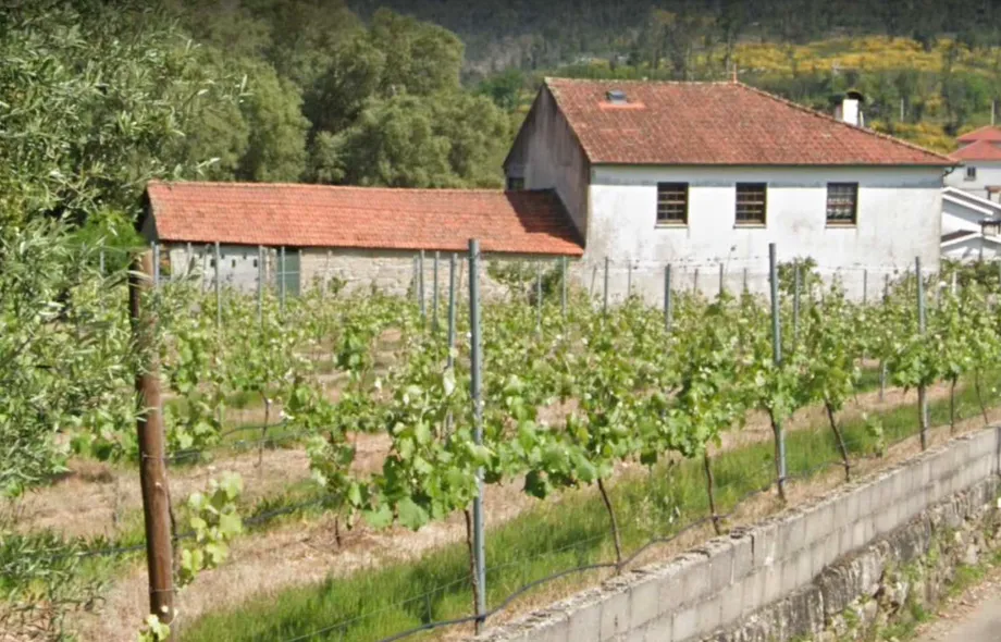 vencedor portugal